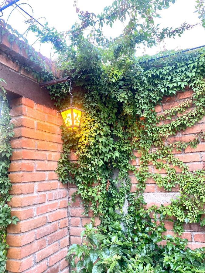 Concepción de AtacoEntre Tejasアパートメント エクステリア 写真